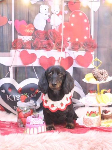 20250227リリィーちゃん